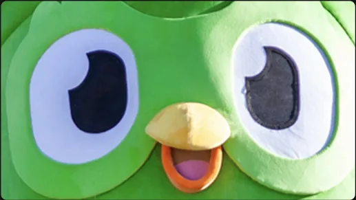 Duolingo case